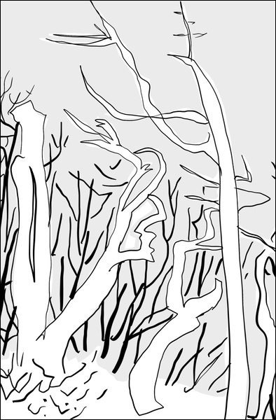 장병언, Digital Drawing, digital_work, 2026